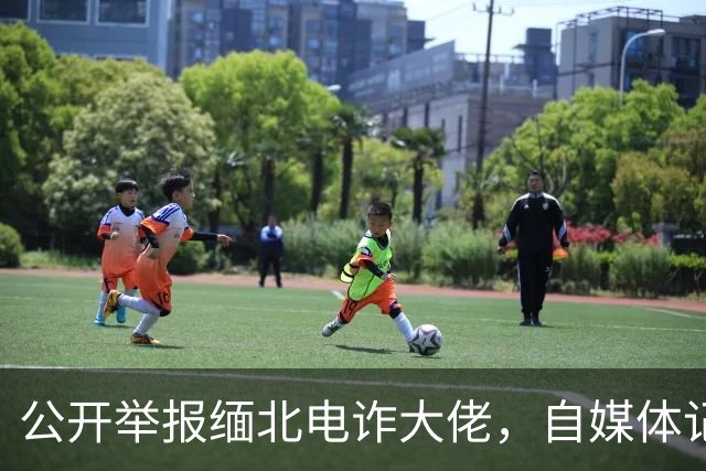 公开举报缅北电诈大佬，自媒体记者被从国内买凶绑架，折磨致死！