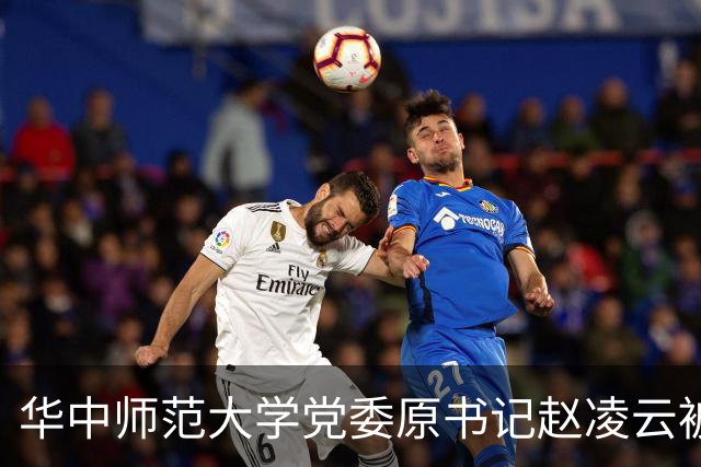 华中师范大学党委原书记赵凌云被查