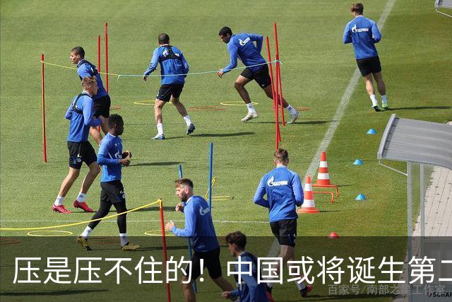 压是压不住的！中国或将诞生第二个华为