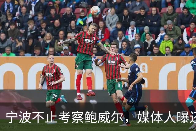 宁波不止考察鲍威尔，媒体人曝还在考察广厦旧将沃顿