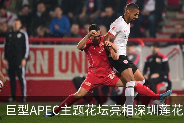 巨型APEC主题花坛亮相深圳莲花山公园