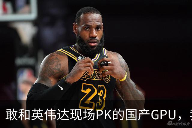 敢和英伟达现场PK的国产GPU，我是服的