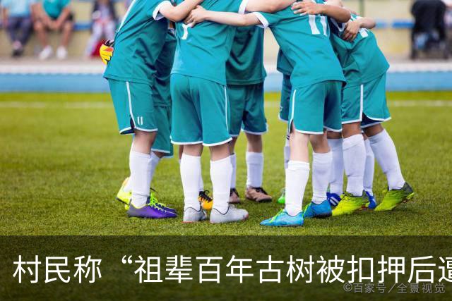 村民称“祖辈百年古树被扣押后遭转赠”，官方通报