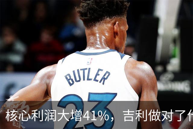 核心利润大增41%，吉利做对了什么
