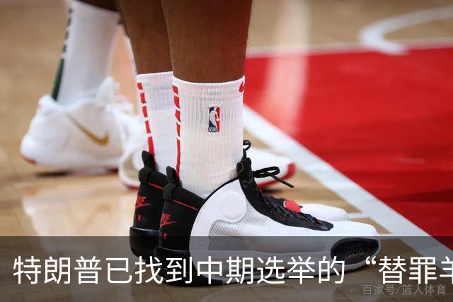 特朗普已找到中期选举的“替罪羊”