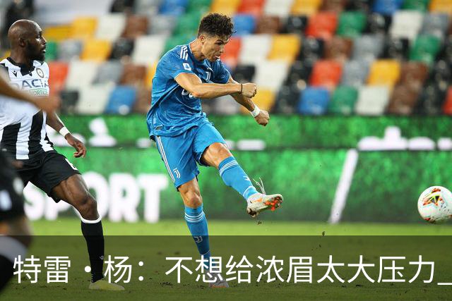 特雷·杨：不想给浓眉太大压力 但我想帮他冲击MVP