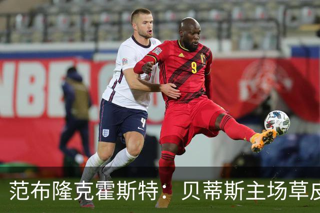 范布隆克霍斯特：贝蒂斯主场草皮不理想