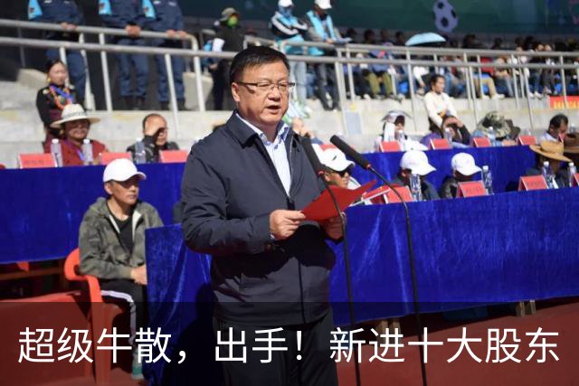 超级牛散，出手！新进十大股东