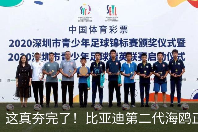 这真夯完了！比亚迪第二代海鸥正式公布发布价，6.29万元起