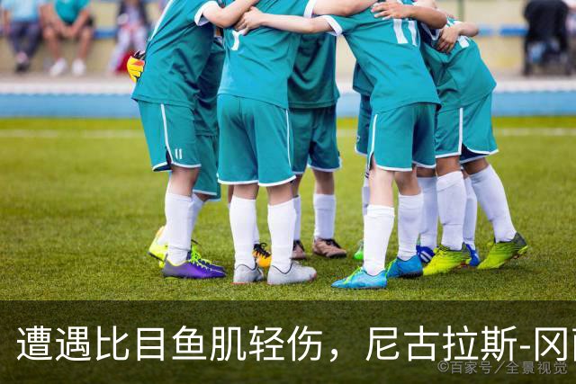 遭遇比目鱼肌轻伤，尼古拉斯-冈萨雷斯社媒表态要强势回归