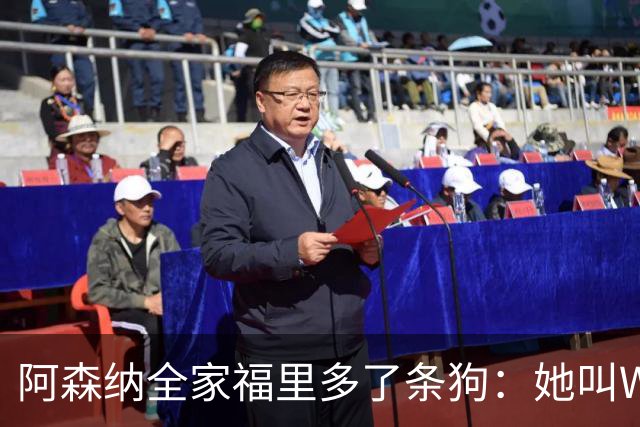 阿森纳全家福里多了条狗：她叫Win，2023年就进了训练基地
