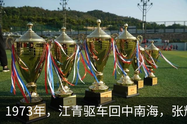 1973年，江青驱车回中南海，张耀祠偶遇后询问：你来了想干什么？