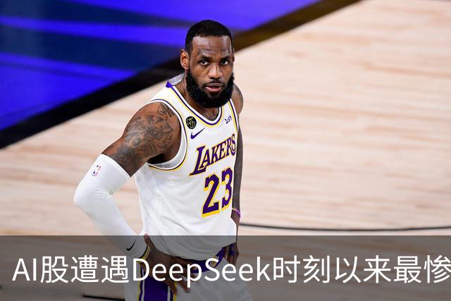 AI股遭遇DeepSeek时刻以来最惨一跌！高盛动量组合抹去全年涨幅，半导体指数逼近年线